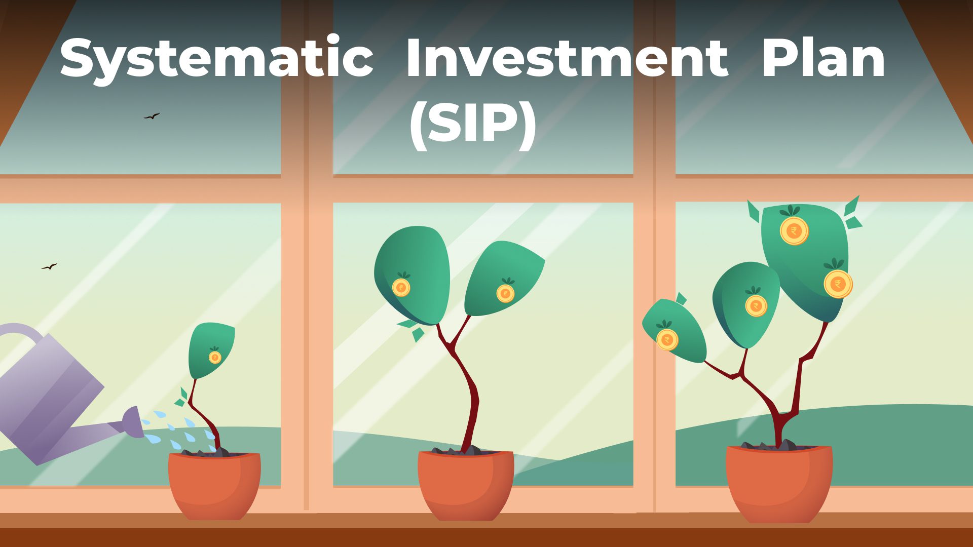 Basics of SIP | Finance Made Simple